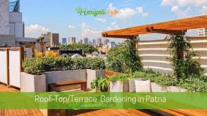 Terrace Gardening In Patna Rooftop