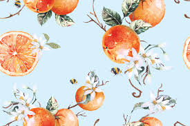 orange citrus fruit ilration