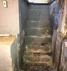 Seal And Maintain Your Basement Stairs