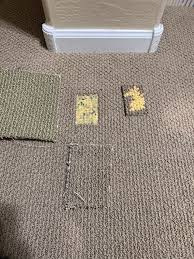 your extra carpet remnant