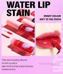 lip cheek stain 2 in 1 blusher