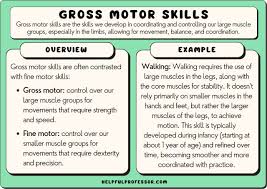 50 gross motor skills exles 2024