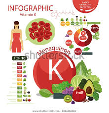 Vitamin K Menaquinone Composition Natural Organic Stock