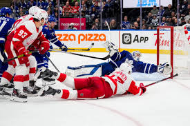 maple leafs vs red wings observations
