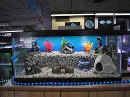 unique fish tank decorations big
