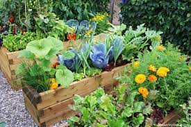 Vegetable Gardening For Beginners Tips