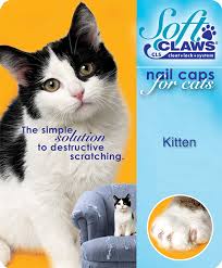 soft claws nail caps for cats kitten