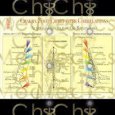 Chi Medics Via The Feet Chakra Colour Foot Chart