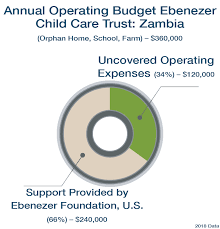 Operating Budget Pie Chart Web1 The Ebenezer Foundation