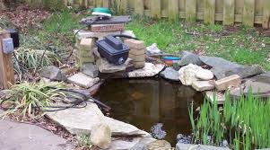 How To Winterize Your Backyard Pond