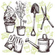 Free Vector Garden Tools Sketch Concept