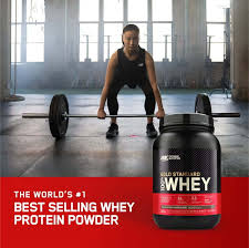 100 whey chocolate protein powder