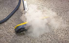 professional carpet cleaning techniques