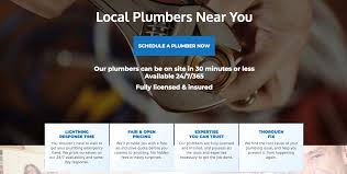 Bathroom, kitchen, drain & sewer, leak fix, water tank & heater, garbage disposal your local plumber. 5 Must Have Elements Of Every Small Business Landing Page