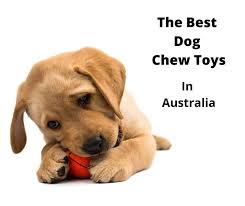 7 best dog chew toys australia 2023