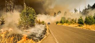 Is Global Warming Fueling Increased Wildfire Risks Union