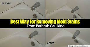 best way for removing mold stains from