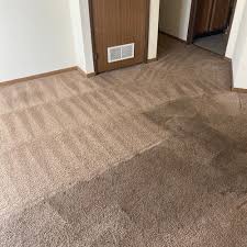 top 10 best rug cleaning al near