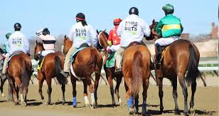However, for newcomers to horse racing betting, betting on place or show is a much easier and safer idea. B E S T In Support Of Nyra S Backstretch Community