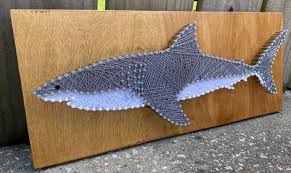 3d Shark Wall Art On
