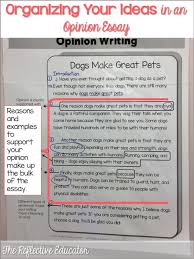 Graphic organizer writing opinion essay   Resume tips skills 
