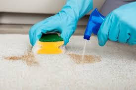 remove brown water stains from carpets