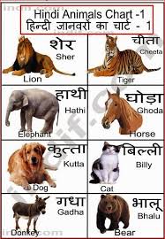 Pet Animals Meaning In Hindi Pets Animals