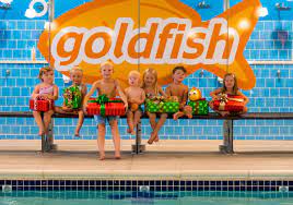 gift goldfish swim