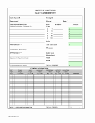 A customizable excel template with formulas for entering daily cash transactions. Pin On Professional Report Templates