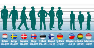 Average height for men by country: This Thing About Being Tall Watching The Swedes