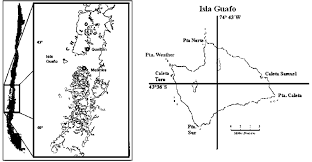 Map Indicating The Geographic Location Of Guafo Island