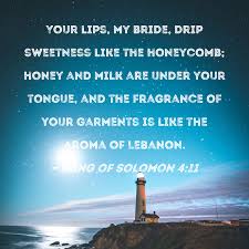 song of solomon 4 11 your lips my