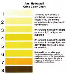 What Could Make My Urine Brown Quora