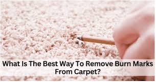 remove burn marks from carpet