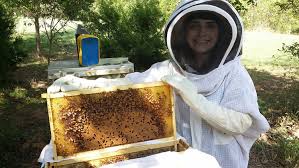 successful beekeeper