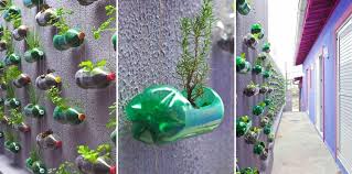 think green 20 vertical garden ideas