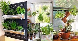32 Diy Hanging Herb Garden Ideas For