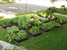 front yard vegetable garden bed ideas