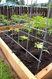 garden trellis ideas for your outdoor e