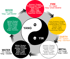 Yin Yang Theory In Chinese Medicine Explained