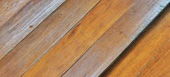repairing water damaged wood floors