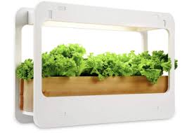 Best Grow Lights For Indoor Plants