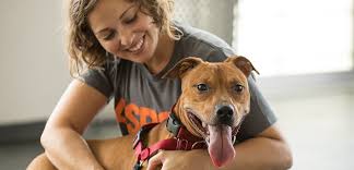 These guidelines are available online at no cost (see references below). Adoption Tips L How To Adopt L Adopt A Pet L Aspca