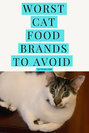 This data was compiled by dr. Worst Cat Food Brands To Avoid Hint They Re All The Same