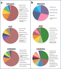 Pie Charts Showing Summarised Gene Ontology Go Analysis Of