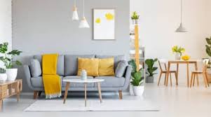10 home remes for cleaning sofas in