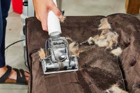 the 6 best shark vacuums for pet hair