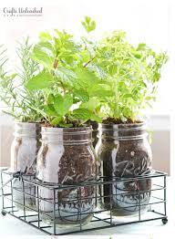 Herb Garden Ideas For Indoor Spaces