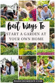 Start A Garden At Your Own Home