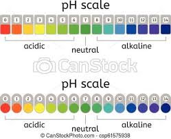 Vector Ph Scale